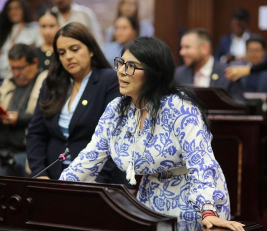 Propone Vanhe Caratachea tipificar secuestro virtual infantil a nivel federal