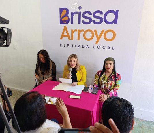 Brissa Arroyo advierte exceso de poder en el PRDM: “Ostentar tres cargos al mismo tiempo sería un exceso”