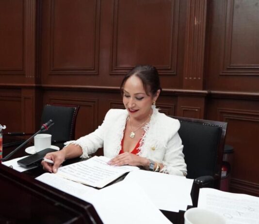 Diputada Itzé Camacho rechaza iniciativa de alternancia de género para gubernatura en Michoacán