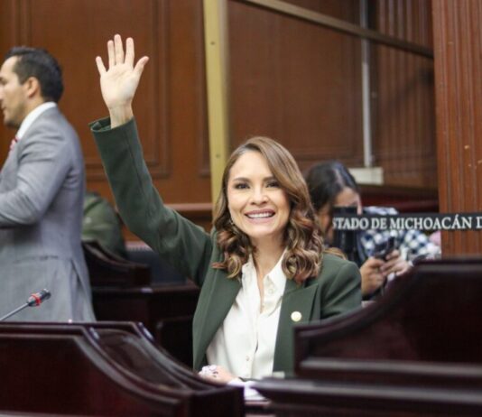 Entrada en vigor de Gobierno Digital, permitirá la modernización de la administración pública: Nalleli Pedraza