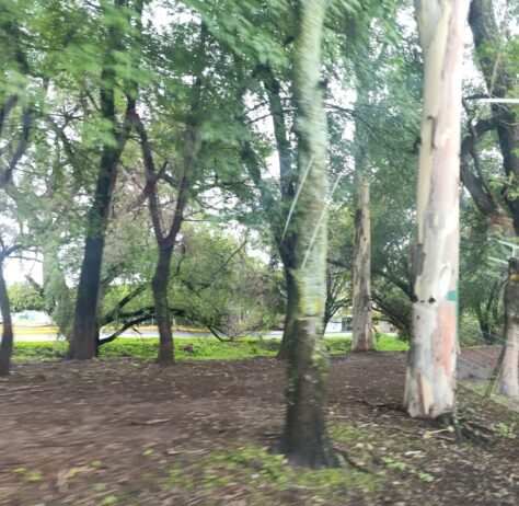 Suben niveles de ríos y drenes en Morelia, continúa la vigilancia: Ooapas y PC Morelia