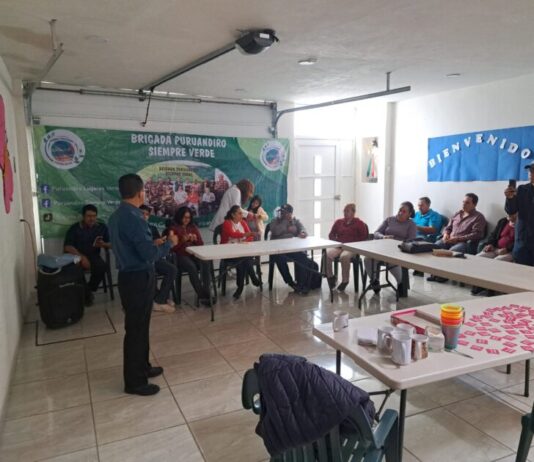 Brigada Puruándiro Siempre Verde impulsa créditos para fortalecer a pequeños comercios de Puruándiro
