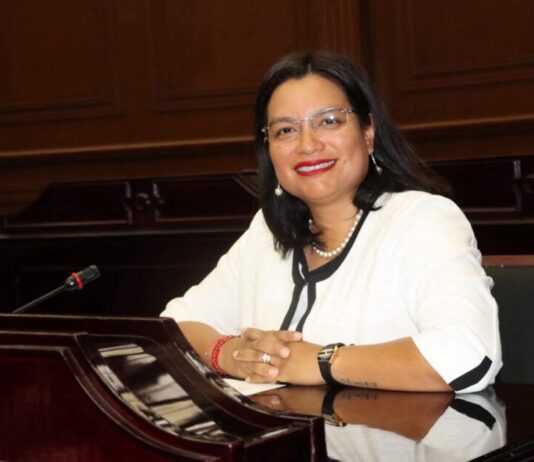 Propone Eréndira Isauro retiro automático de patria potestad a feminicidas; presenta iniciativa inspirada en la “Ley Monzón”