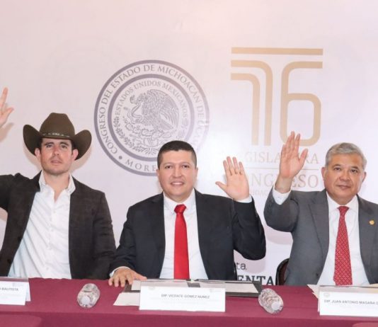 Se reúne comisión legislativa de Seguridad Pública y Protección Civil