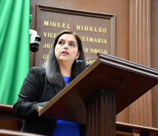 Propone diputada Tere Herrera visibilizar en la ley los tipos de violencia contra niñas, niños y adolescentes