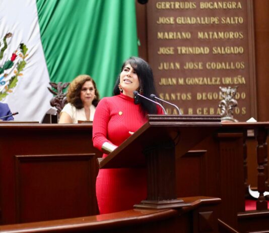 Busca Vanhe Caratachea castigar la explotación infantil ejercida por padres o tutores