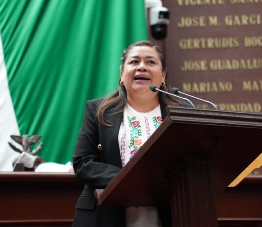 Llama a la población a atender su salud mental en instituciones oficiales y no en las redes sociales