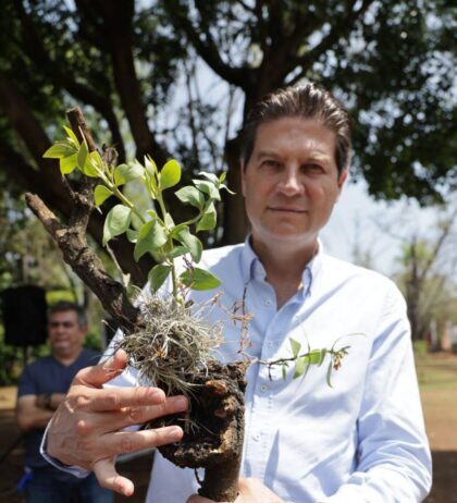 Arranca Alfonso Martínez 2da Etapa de recuperación de árboles