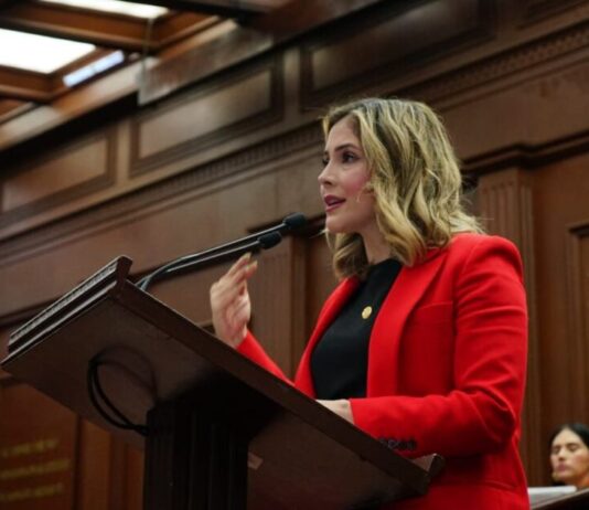 Diputada Brissa Arroyo plantea reconocer el tipo de violencia feminicida en la Ley