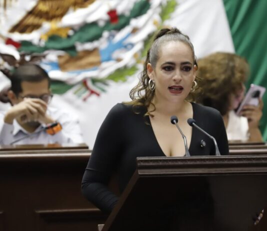 Presenta Sandra Arreola iniciativa para frenar daño ambiental por cultivo de aguacate