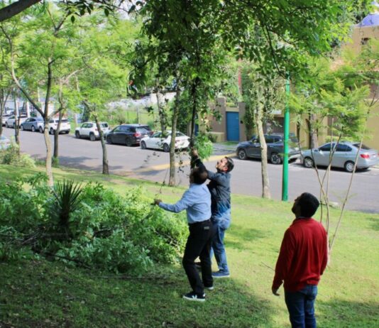 Gobierno de Morelia inicia semana con jornada de limpieza en Av. Fray Antonio de San Miguel