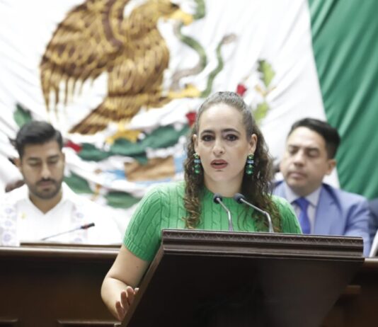 Propone Sandra Arreola cerrar el paso a la impunidad ambiental en Michoacán