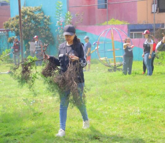 Recuperamos Villa Universidad un espacio público con historia, identidad y futuro: JC Barragán