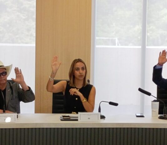 Regidora Marissa Celeste celebra nombramiento de José Pablo Alarcón como Comisionado de Seguridad en Morelia