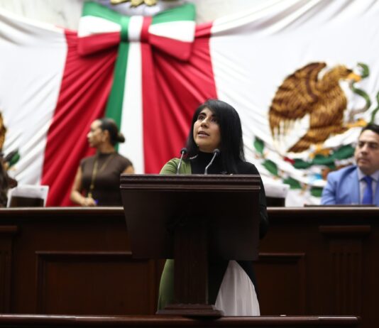 Celebra Vanhe Caratachea aprobación de candados legales para evitar la explotación sexual infantil en el sector turístico