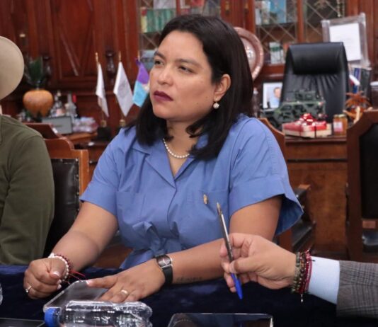 Respalda Eréndira Isauro iniciativa ciudadana que busca proteger lenguas indígenas en Michoacán