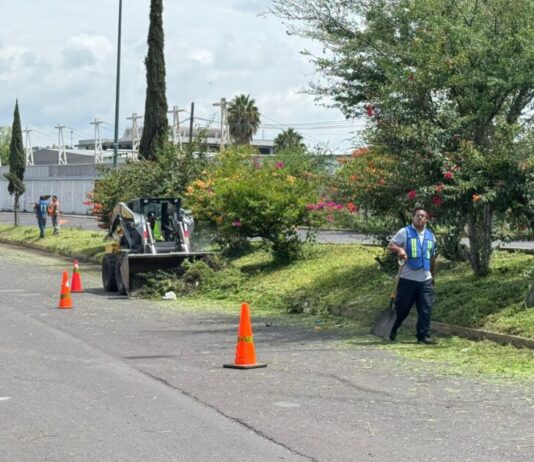 Embellecen accesos de Morelia con jornada de limpieza integral en la avenida Miguel Hidalgo