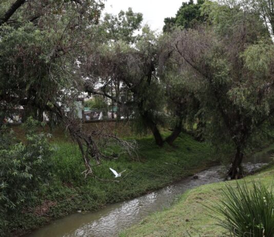 Gobierno de Morelia recupera la imagen urbana del parque lineal del Río Chiquito