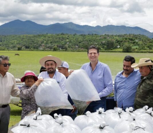 Encabeza Alfonso Martínez siembra de 100 mil ejemplares de tilapia en zona rural