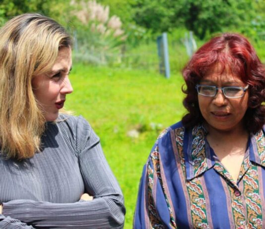 Con buenas acciones en beneficio de Michoacán seguimos avanzando: Brissa Arroyo