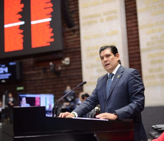 Medio ambiente, seguridad, atención social y reforma electoral, prioridades del PVEM en plenaria