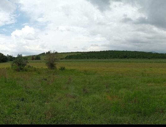 MAS-TTERRA impulsa proyectos de vivienda en Michoacán; gestionan uno de los desarrollos más grandes en Huiramba