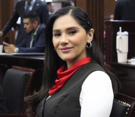 En Michoacán y en el PT, la Presidenta tiene aliados; Diana Espinoza