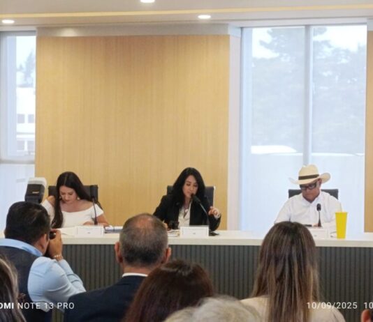 Lucila Martínez pide al Cabildo de Morelia dar voto de confianza al Teleférico, pero exige atención al transporte público terrestre