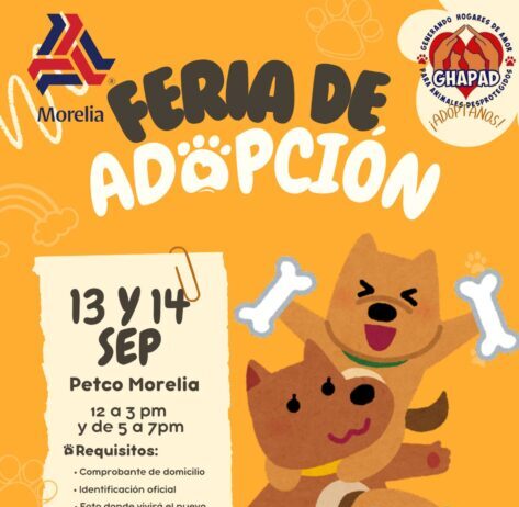 Échanos la pata: GHAPAD convoca a la ciudadanía a seguir adoptando para continuar rescatando