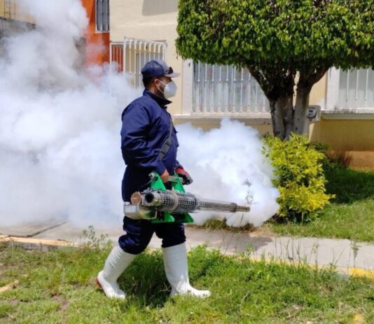 Gobierno de Morelia refuerza fumigaciones y llama a ciudadanía a sumarse en la prevención del dengue