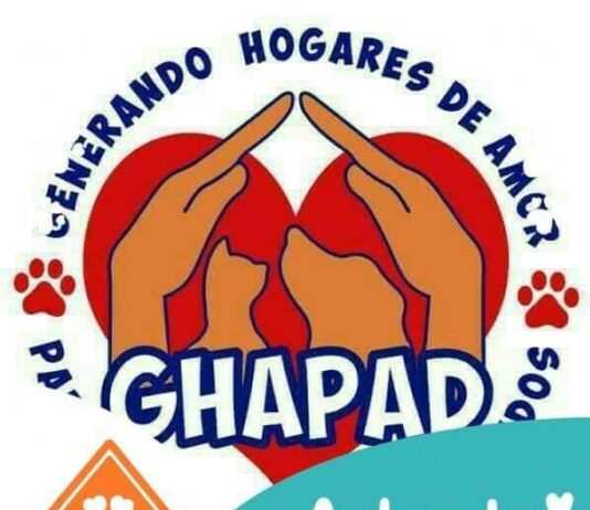 GHAPAD invita a disfrutar Mi amigo Robot y donar un costalito de croquetas