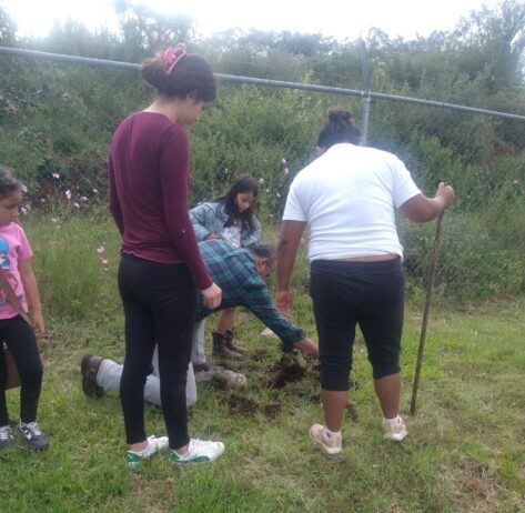 Brigada Puruándiro Siempre Verde impulsa reforestaciones en Morelia, en La Joya de Buenavista y La Joya de la Huerta