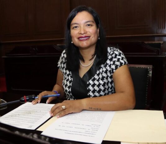 Presenta diputada Eréndira Isauro Hernández iniciativa para sancionar terapias que atenten contra la orientación sexual o identidad de género