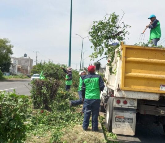 Brigadas de Servicios Públicos intervienen carretera a salida a Quiroga