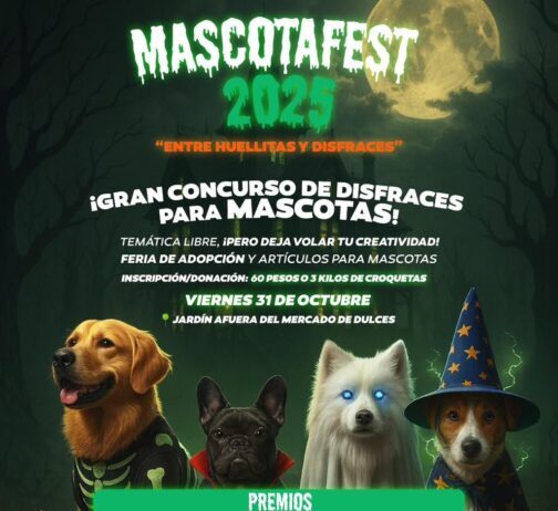 Invitan a la 4ª edición del Mascotafest: convivencia, adopción y causa animal