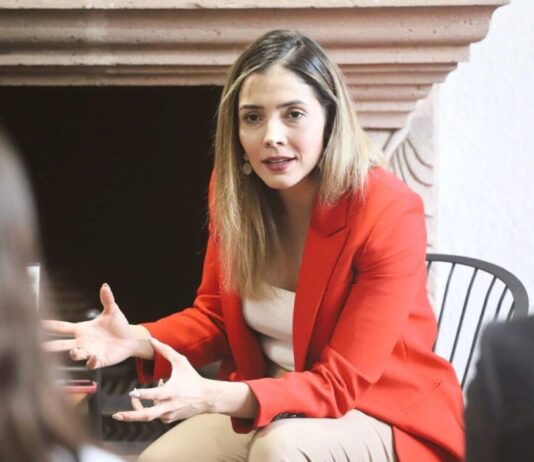 El Plan Michoacán tendrá eco en el Poder Legislativo: Brissa Arroyo