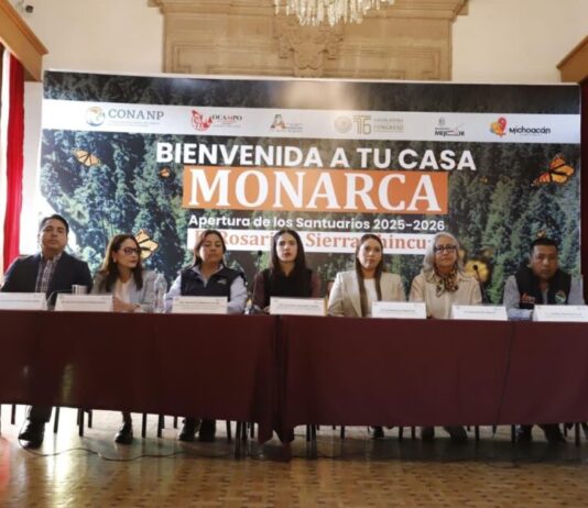76 Legislatura fortalece acciones en pro de la conservación y cuidado de santuarios de la mariposa monarca