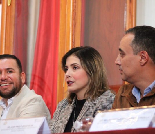 Plantea Brissa Arroyo que a través de un Parlamento Abierto se revise y se hagan sugerencias al Presupuesto estatal