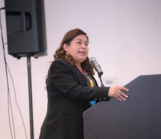 Ante el pleno, Belinda Iturbide propone promover la inclusión laboral de personas con discapacidad