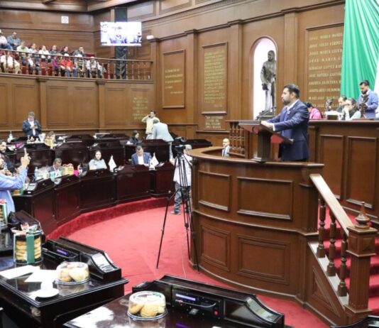 Octavio Ocampo presenta punto de acuerdo para exhortar a reforzar la seguridad en los santuarios de la Mariposa Monarca