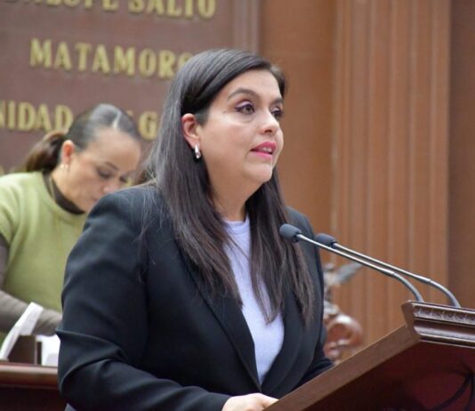 Pide diputada Tere Herrera liberar recursos del FAEISPUM y FORTAPAZ en apoyo a municipios