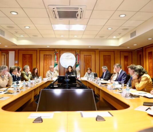 Se reúne Kenia López Rabadán con integrantes de Somos México para abordar la Reforma Electoral y su decálogo