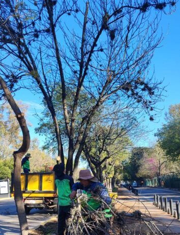 Gobierno Municipal interviene y mejora los espacios públicos de Morelia