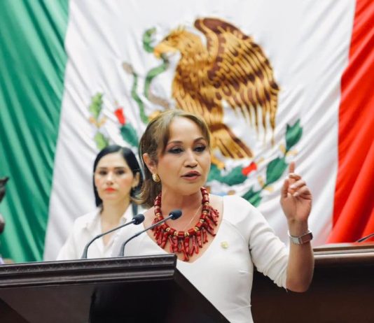 Itzé Camacho: Diputados de Morena deben “poner sus barbas a remojar”