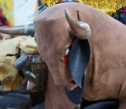 Toritos infantiles, muestra de continuidad generacional dentro del Carnaval del Torito de Petate: SeCultura Morelia