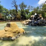 Implementa Ayuntamiento de Morelia acciones de cuidado y protección de fauna en el Bosque Cuauhtémoc