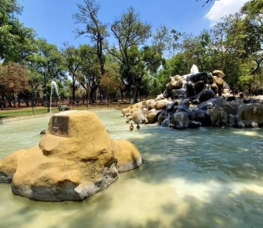 Implementa Ayuntamiento de Morelia acciones de cuidado y protección de fauna en el Bosque Cuauhtémoc