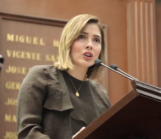 Diputada Brissa Arroyo plantea reformas a la Ley de Salud para impulsar en el estado el “Código Mariposa”