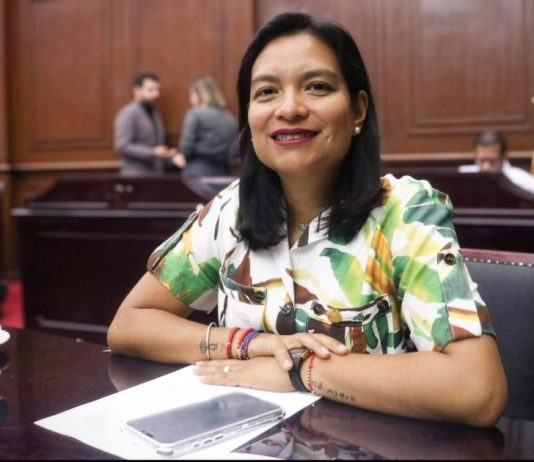 Eréndira Isauro propone regular propaganda digital electoral