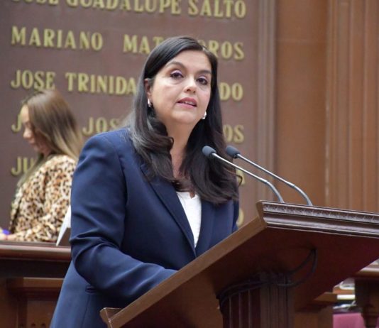 Impulsa diputada Tere Herrera reforma para prevenir muertes neonatales en Michoacán